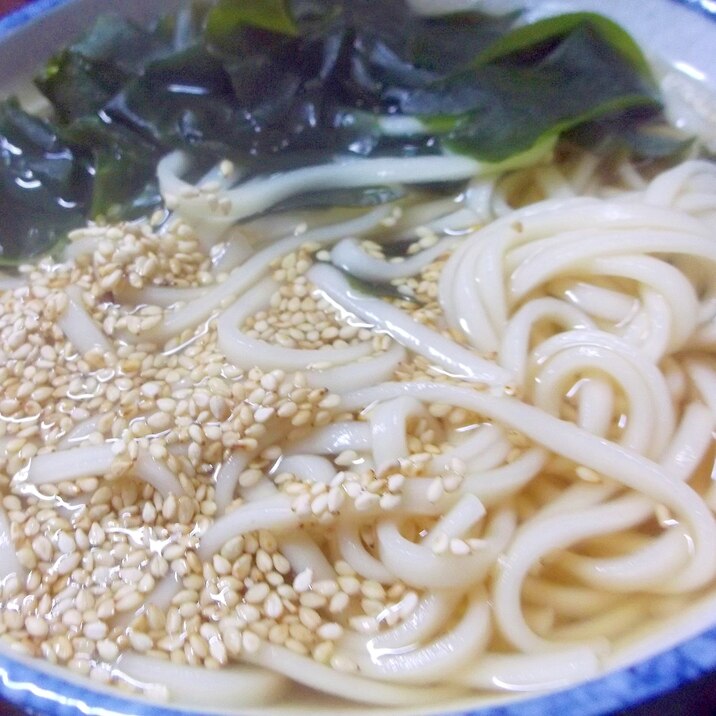 ごまたっぷりわかめうどん★